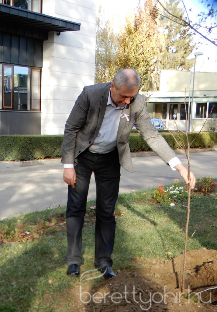 Tulipánfával a mellrák ellen 12